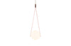 NomNom Light-Moooi-Space Furniture SG