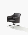 Stanford Armchair-Poliform-Space Furniture SG