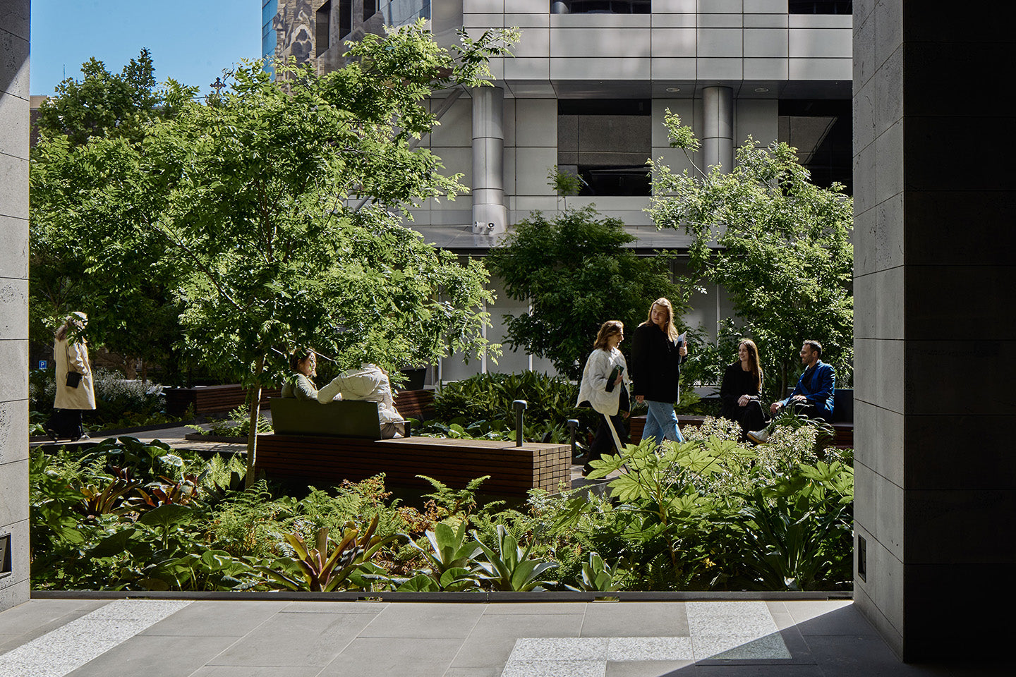 The new garden rooftop gives tenants a nature boost. Photography © Peter Bennetts c/o Hassell.

