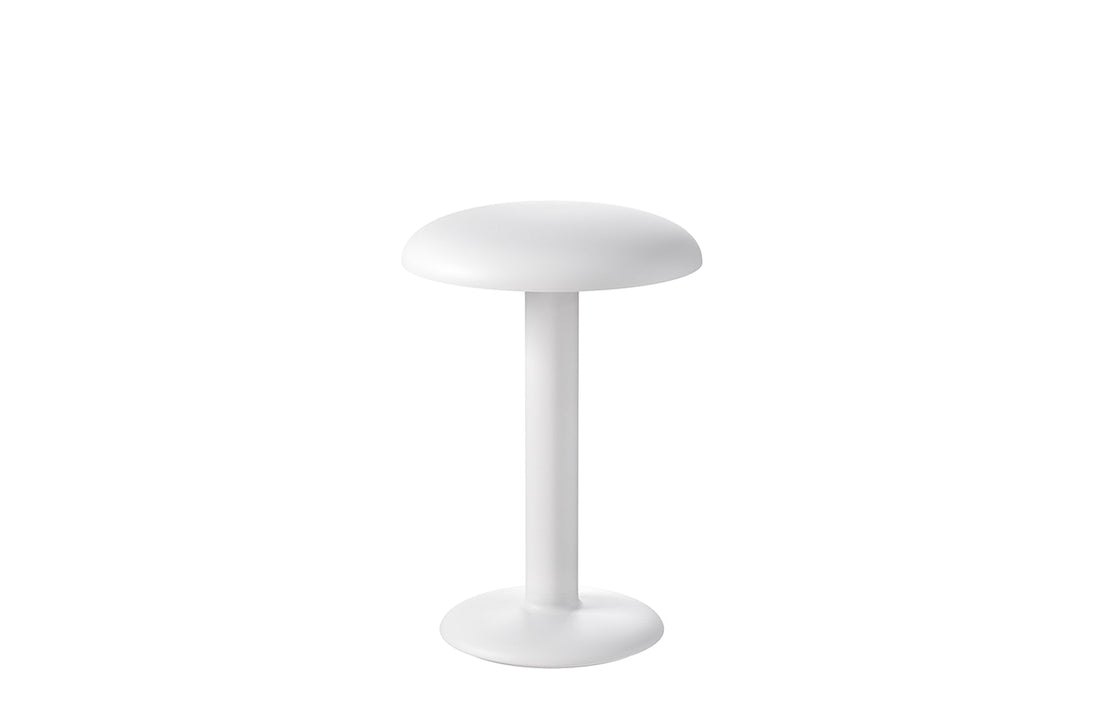 Matte White / Includes LED Array DC 60 mA 2.3W 159lm 2700K