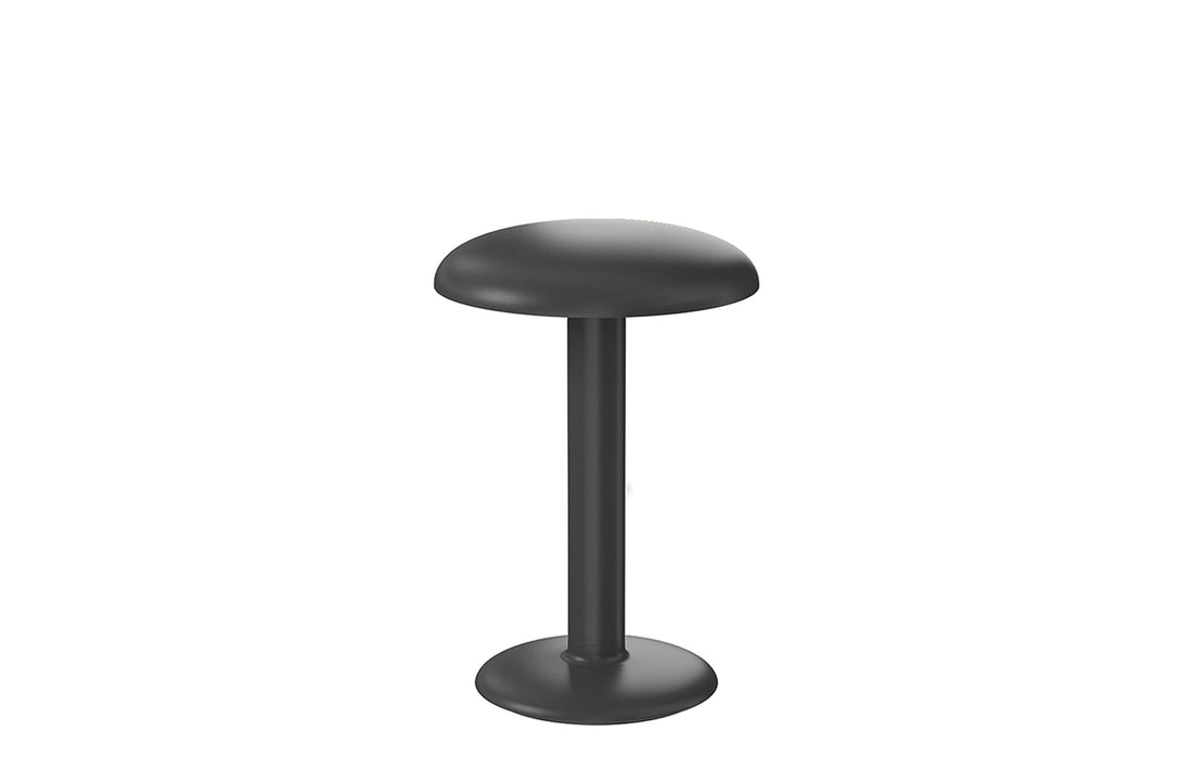 Matte Anthracite / Includes LED Array DC 60 mA 2.3W 159lm 2700K