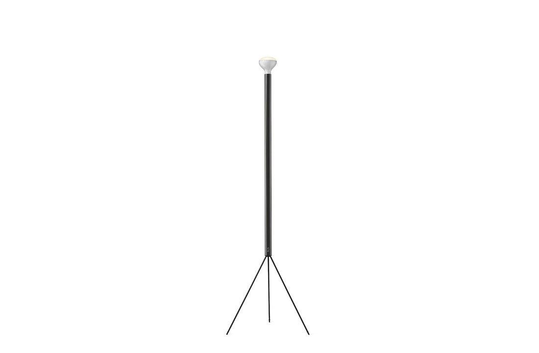 Anthracite / Bulb Sold Separately