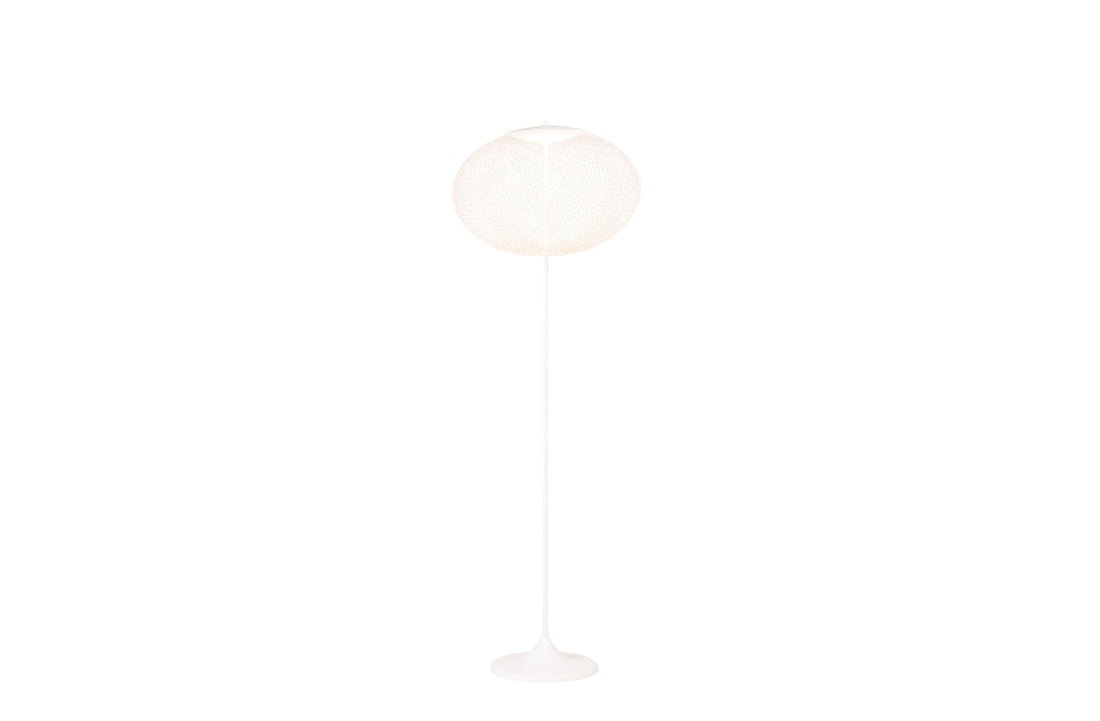 Medium / White