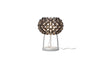 Caboche Plus Table Lamp
