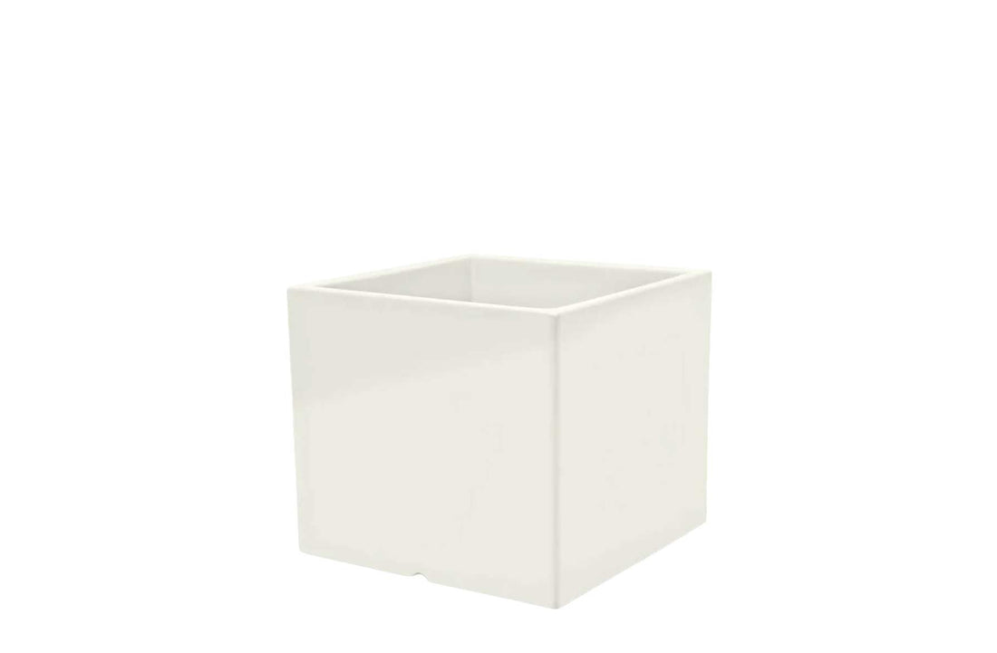 Large / Standard Bianco