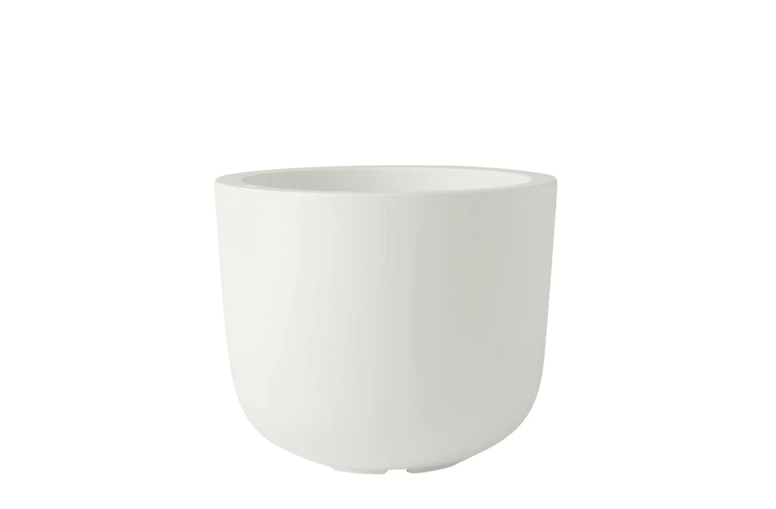 Large / Standard Bianco