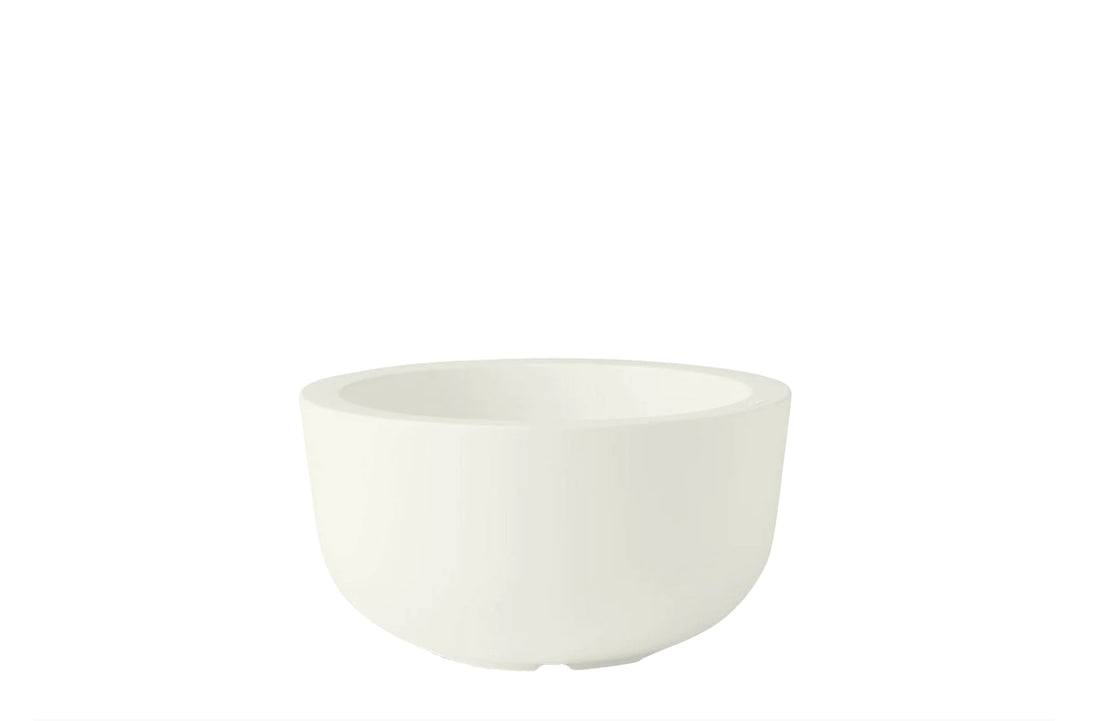 Small / Standard Bianco