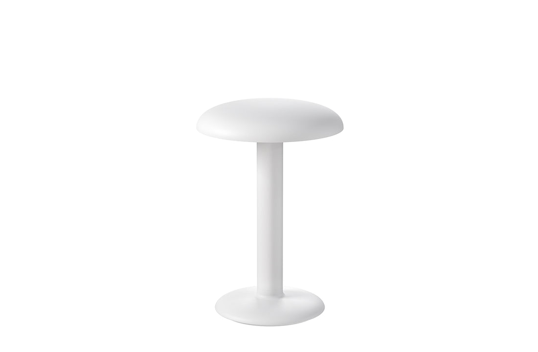 Matte White / Includes LED Array DC 60 mA 2.5W 159lm 2700K