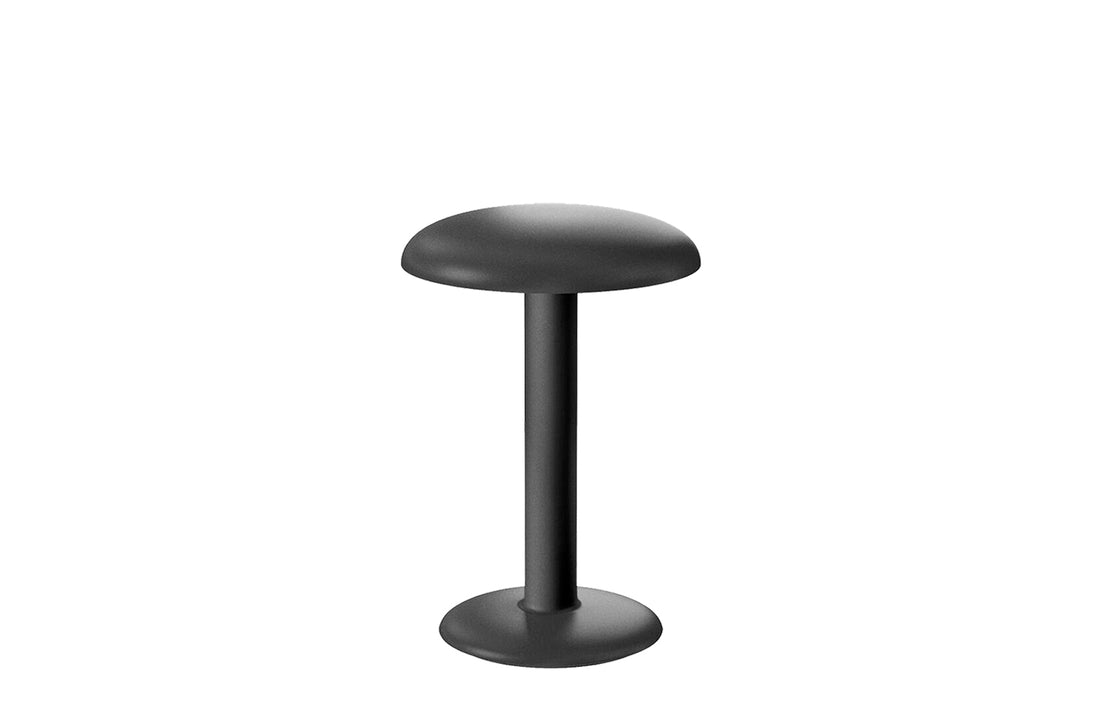 Smooth Black / Includes LED Array DC 60 mA 2.5W 159lm 2700K