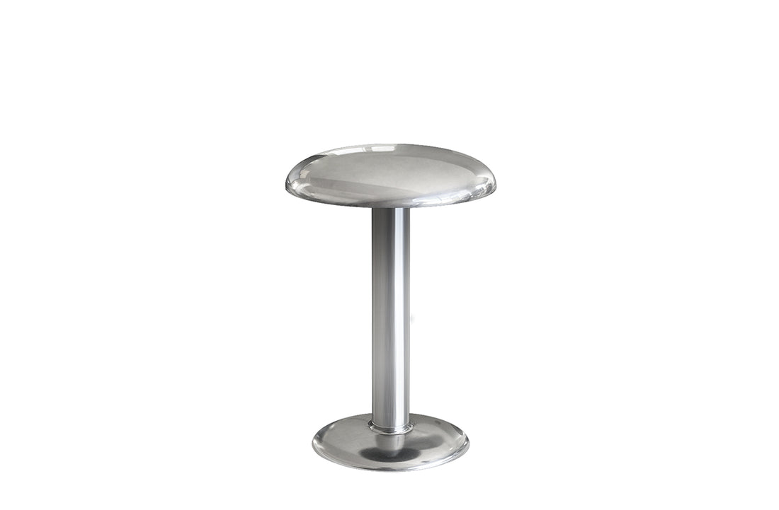 Polished Silver / Includes LED Array DC 60 mA 2.5W 159lm 2700K