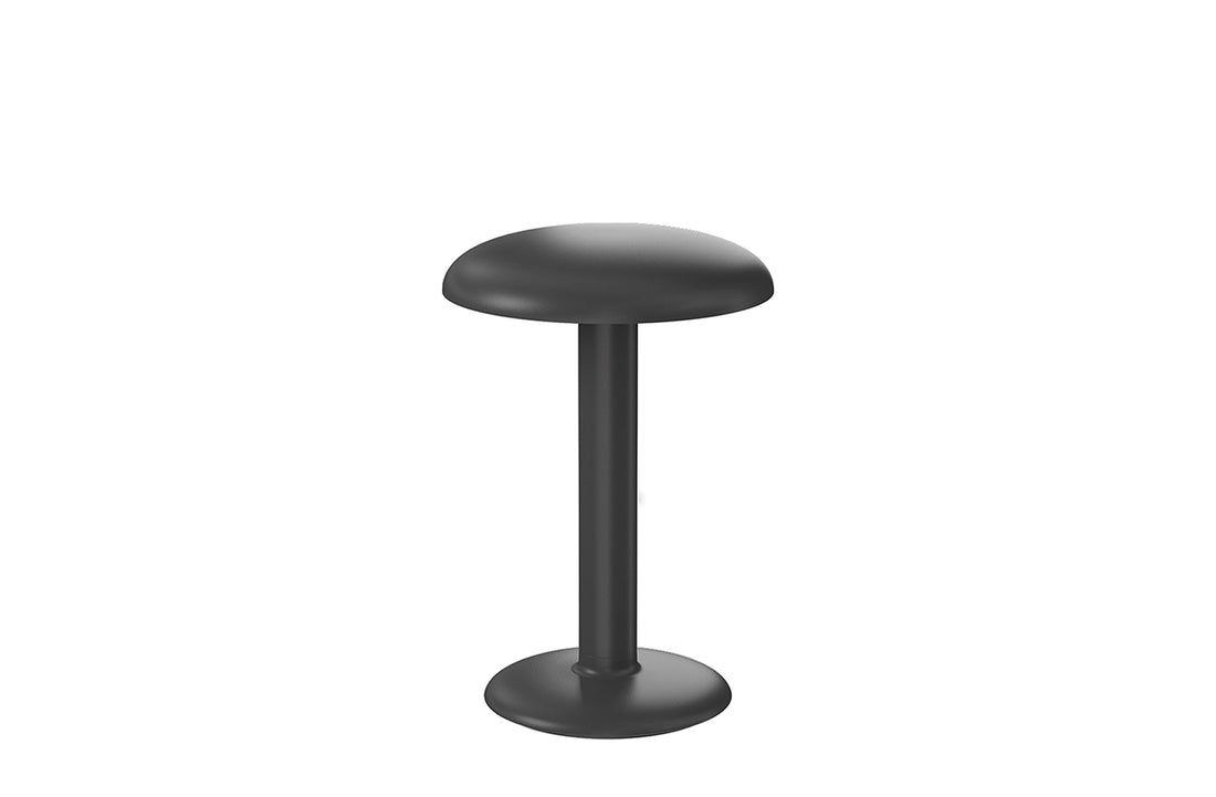 Matte Anthracite / Includes LED Array DC 60 mA 2.5W 159lm 2700K