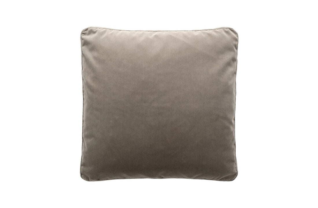 VELVET Dove Grey