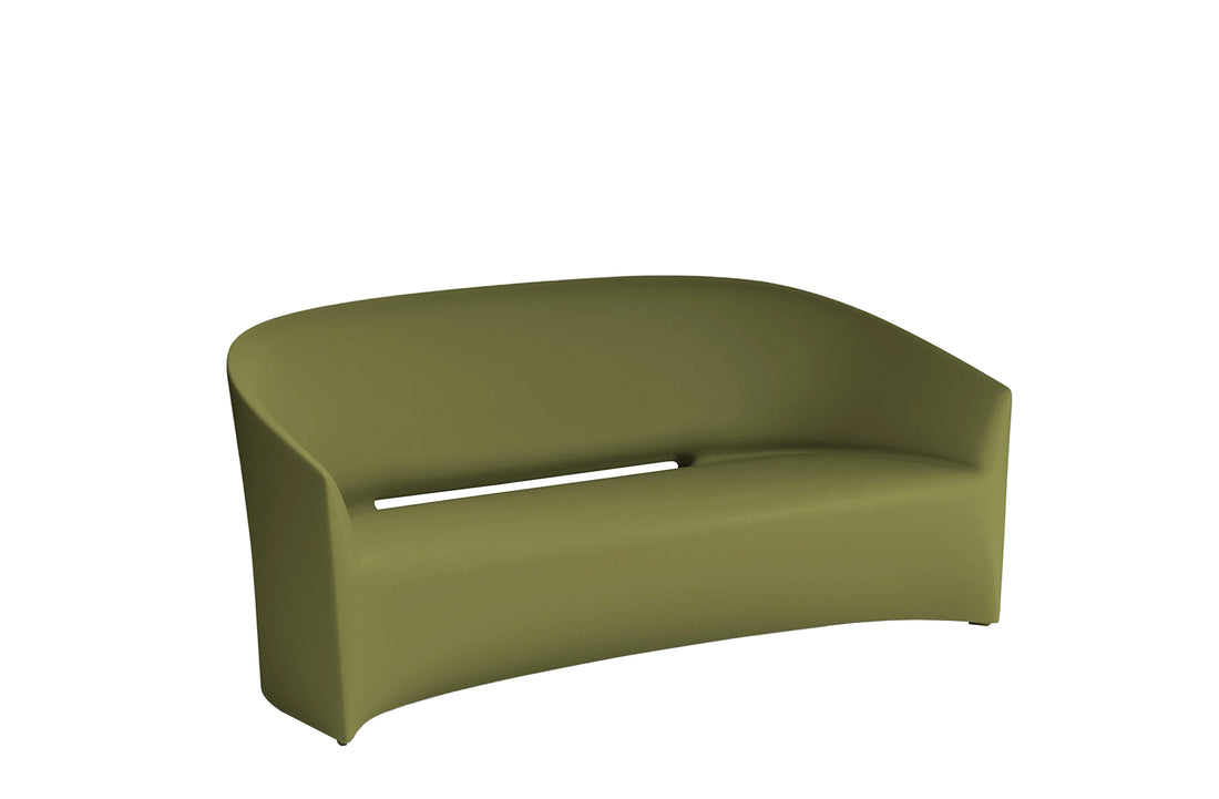 Standard Olive di Cerignola