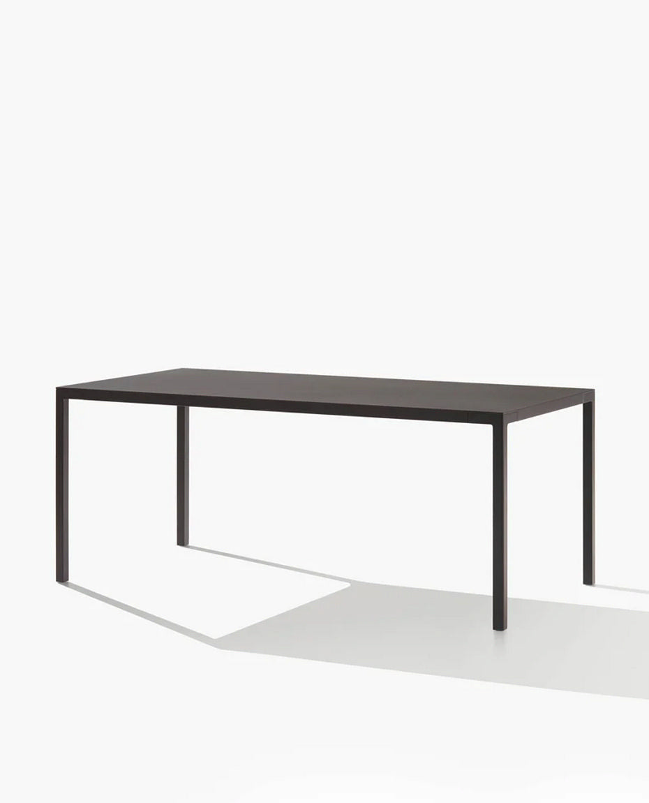 TTR180 / Table / Mat Lacquered Carbone LO91 Structure and Top